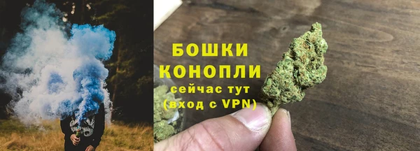 молекула духа Богородицк