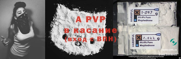 молекула духа Богородицк