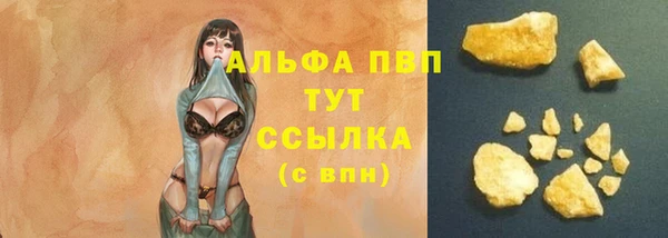 гидра Белокуриха