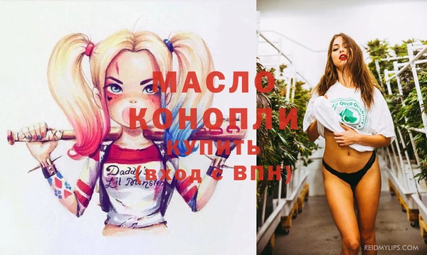 молекула духа Богородицк