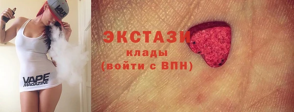 молекула духа Богородицк